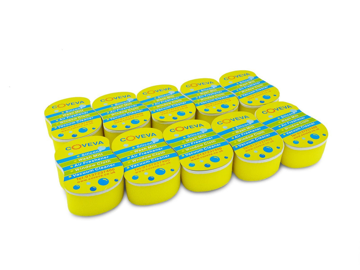 Tyre Shine Sponges (Large Size)